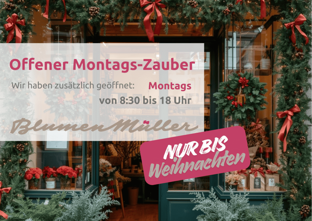 Müller Montagszauber