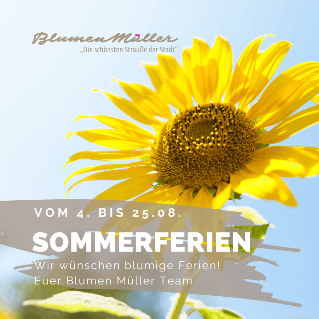 Müller Sommerferien 2025