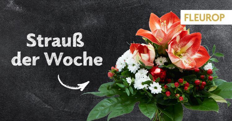 Strauß der Woche 49