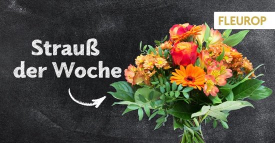 Strauß der Woche 47 Strauß der Woche 47