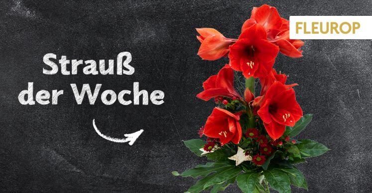 Strauß der Woche 48