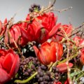 Tulpenstrauss Mit Zweigen Und Beeren